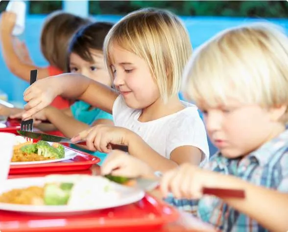 Alimentação Escolar